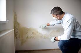 Best Comprehensive Air Testing for Mold Contaminants  in Lancaster, TX